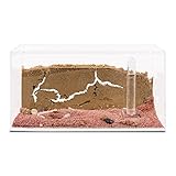 AntHouse - Natürliche Ameisenfarm aus Sand - Acryl Starter Set 20x10x10 cm (Gratis Ameisen)
