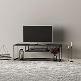 [en.casa] TV Board Isokyrö Fernsehtisch mit Ablagefach Lowboard 120 x 40 x 40 cm Sideboard Metall Schwarz