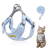 Katzenleine Set für Katzen,Polyester Verstellbares Katzen Geschirr mit Leine, Katzengeschirr Leine Set, Geschirr für Katzen ausbruchsicher für Kitten Hunde (Blau -S)