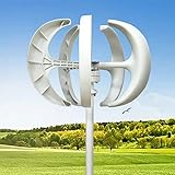 Windkraftanlage 600W Windturbine Generator Weiß Laterne Vertikale Windgenerator 5 Blätter Windkraftanlage Kit mit Controller 12V/24V (Weiß, 12V)