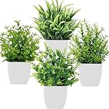 Bafenli 4 Stück Mini Künstliche Pflanzen mit Topf Kunststoff Gefälschte Pflanzen für Home Badezimmer Büro Tisch Dekor