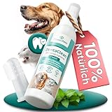 Power Pets - Dentalspray + GRATIS Fingerzahnbürste 150ml [ Hunde & Katzen ] -100% natürliche Maulhygiene - Schluss mit Zahnbelag | Zahnsteinentferner, Zahnreinigungsspray | Zahnspray mit Zahnbürste