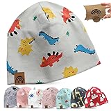 fenchi's AUSTRIA Kinder Beanie Mütze mit süßen Motiven und Geschenkverpackung, Regenbogen Leder Label, Baumwolle (DE/NL/SE/PL, Alter, Einheitsgröße, Grau_Dino)