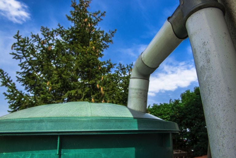 Regenwasser nutzen und Geld sparen