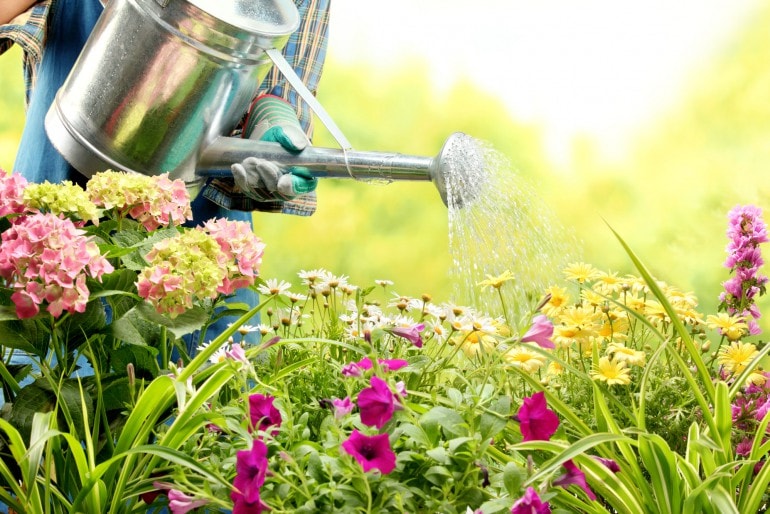 Bauernregeln für den Garten: Worauf man sich verlassen kann