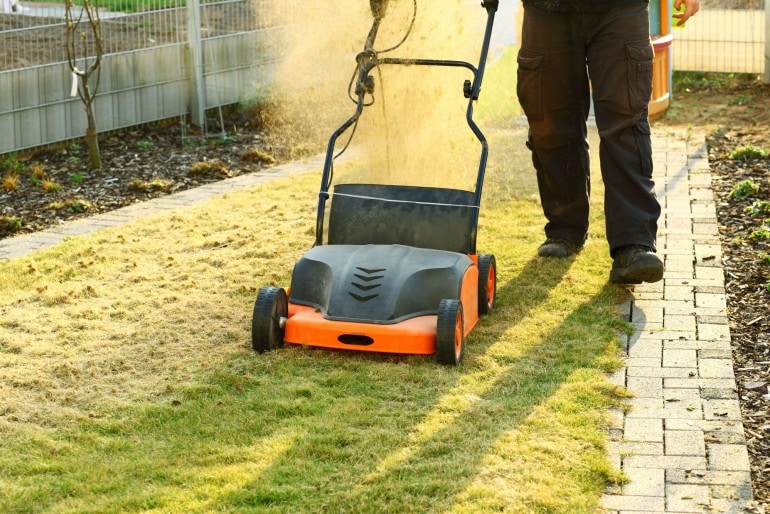 Top 5 Fehler beim Vertikutieren im Garten