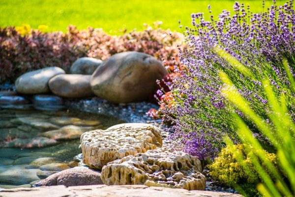 Gartenteich Anlegen Die Kosten Heimhelden